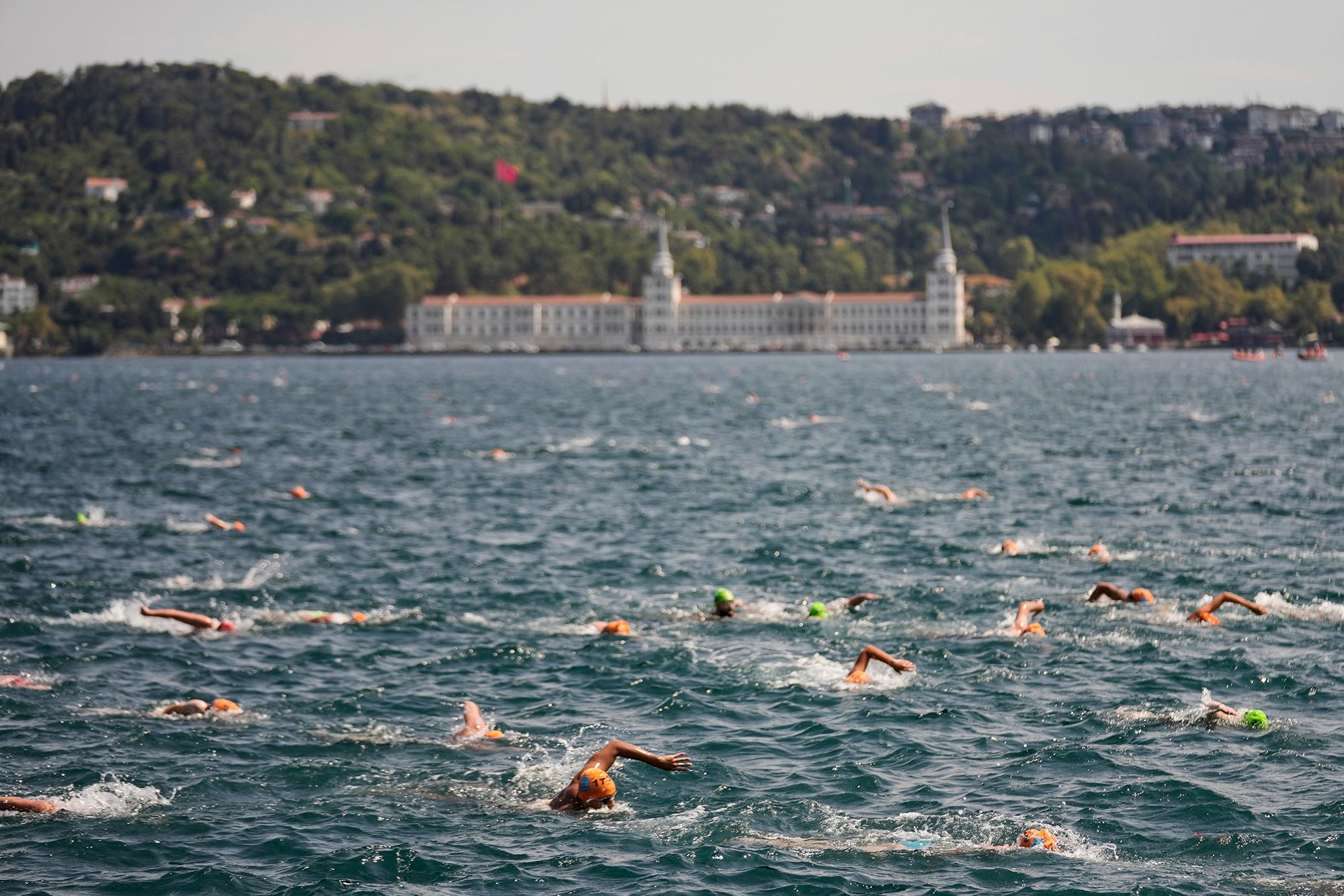 <i>CNN via CNN Newsource</i><br/>Stephanie Halasz is pictured for the race.