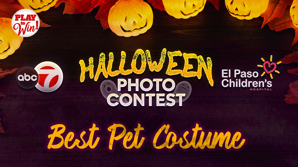 Best Pet Halloween Costume 2025