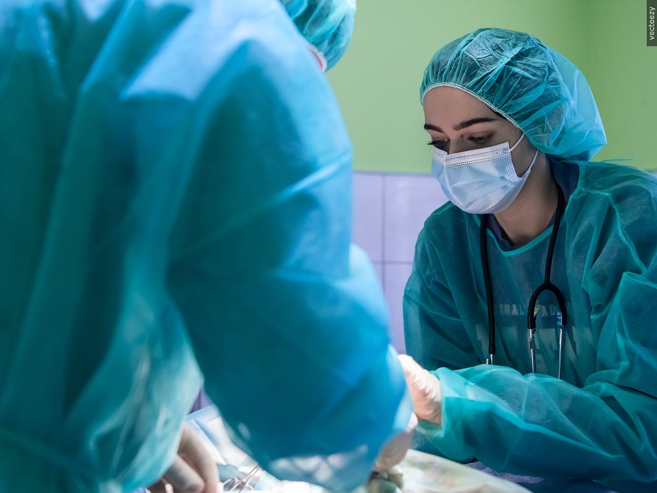 Acquired Through MGN Online on 10/22/2025