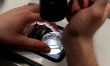 Lab staff prepare small petri dishes