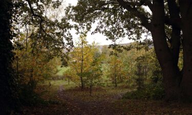 Those who were accused of witchcraft were held in this room of what was once the courthouse in Maidstone