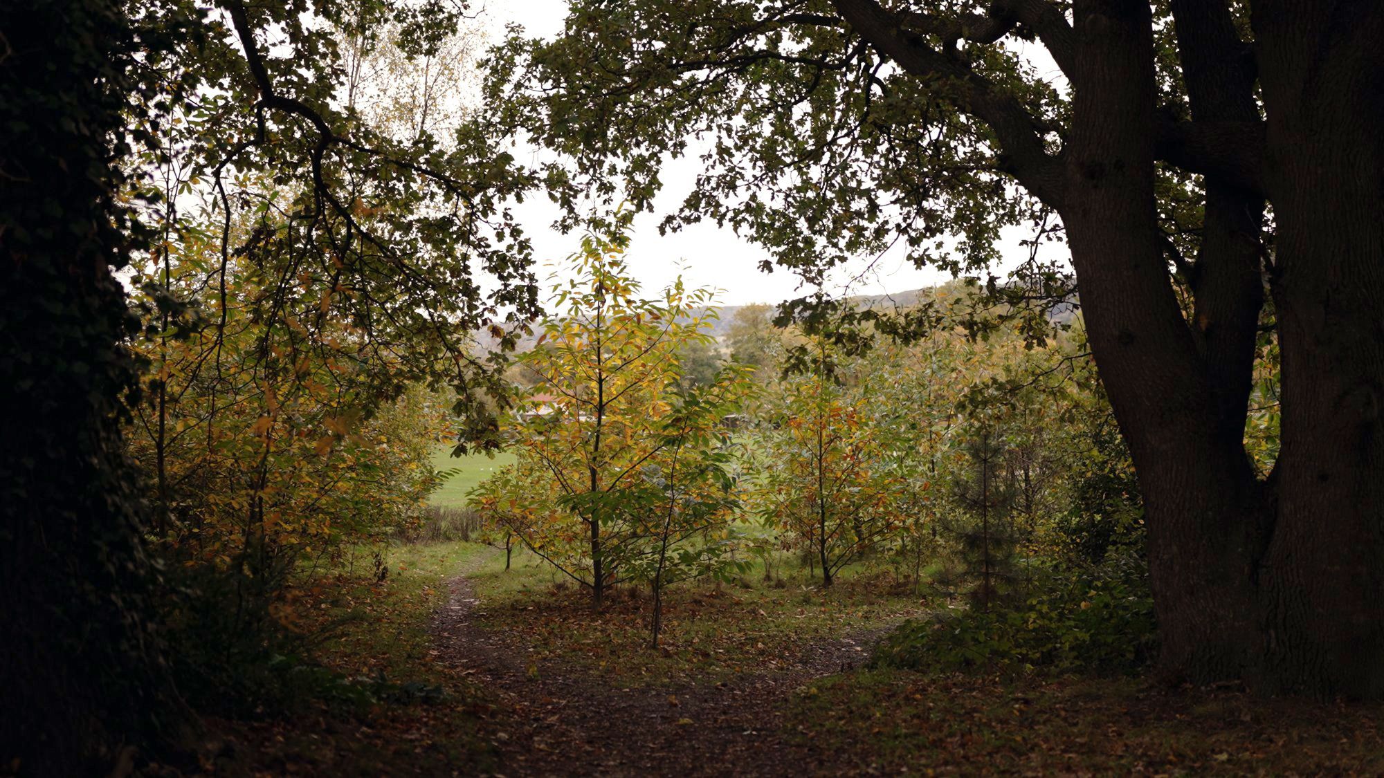 Those who were accused of witchcraft were held in this room of what was once the courthouse in Maidstone