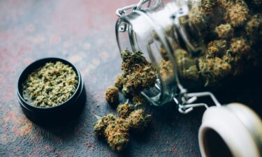 Thanksgiving is a time for eating and