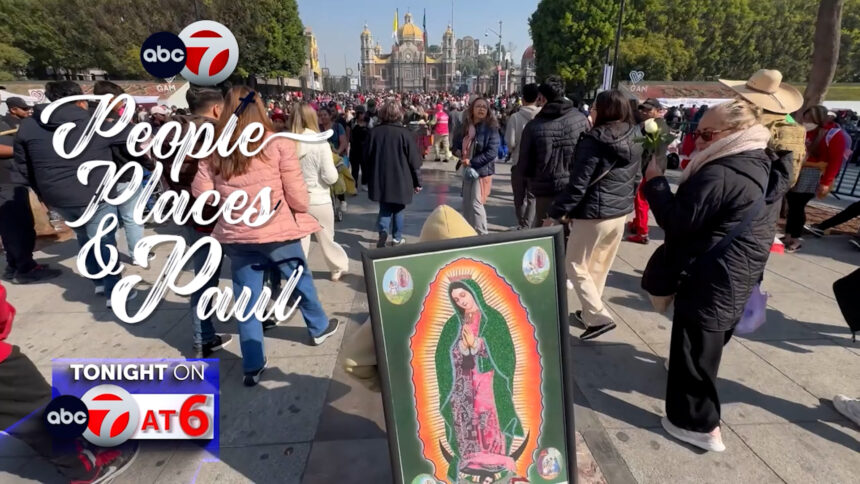 Promo For Basilica.00_00_25_13.Still001