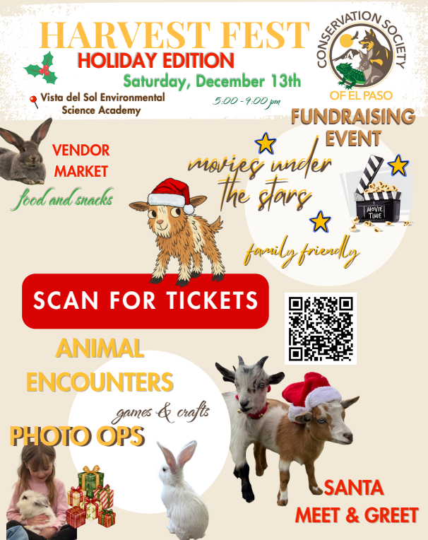 Screenshot 2025-12-09 173749