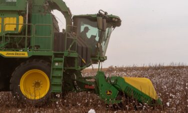 A farmer operates a cotton stripper during a cotton harvest on a farm near Corn