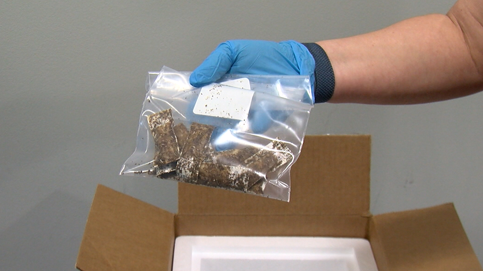 El Paso expands rabies prevention efforts through new wildlife vaccination partnership