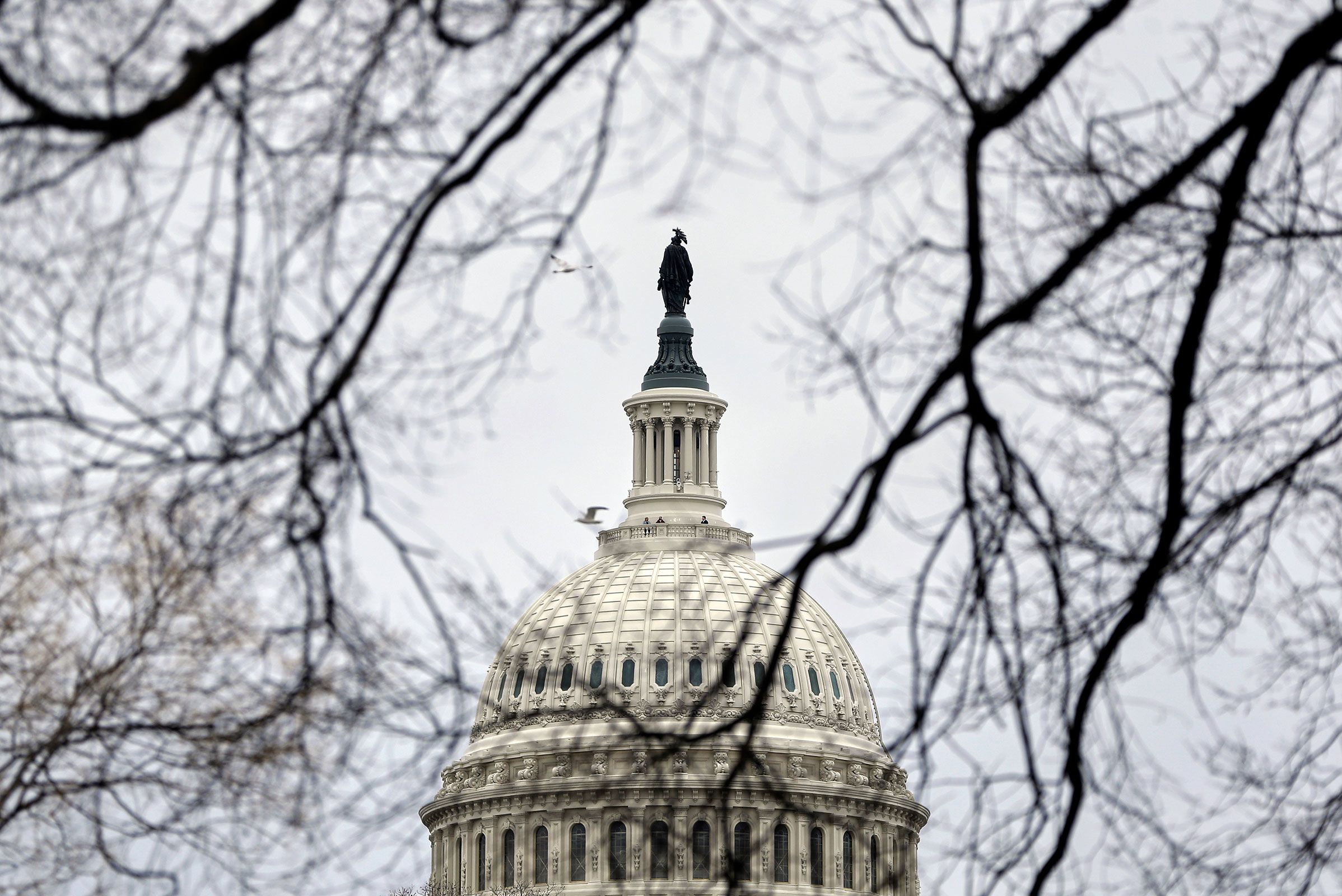 <i>Rahmat Gul/AP via CNN Newsource</i><br/>The US Capitol is seen on Wednesday