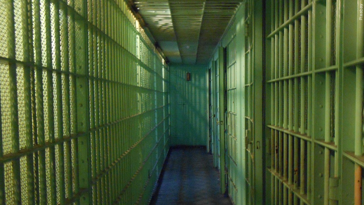 Acquired Through MGN Online on 11/04/2019