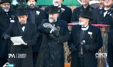 Punxsutawney Phil makes his annual appearance at Gobbler’s Knob in 1985.