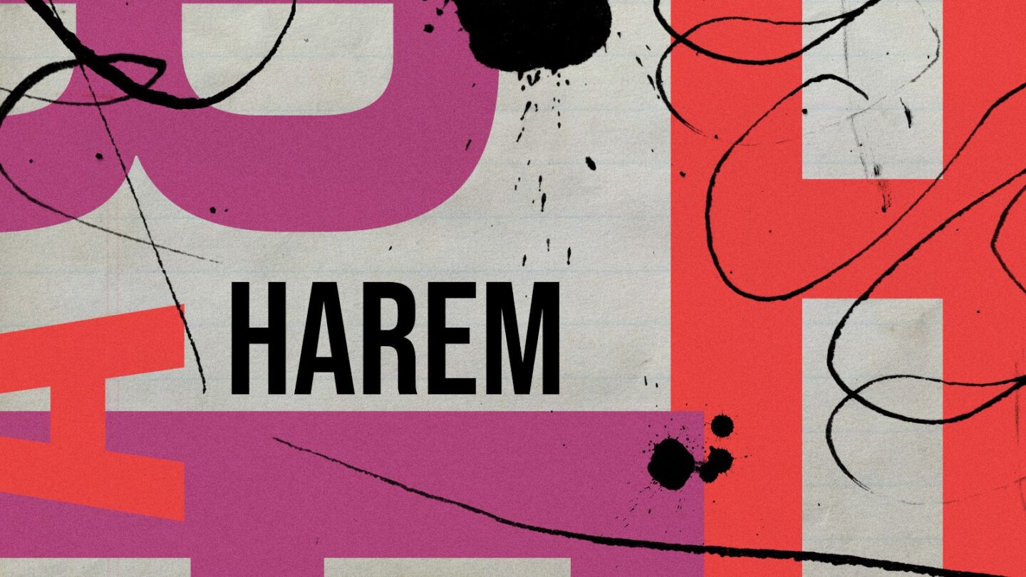 <i>Illustration by Alberto Mier/CNN via CNN Newsource</i><br/>“Harem” comes from the Arabic “haram