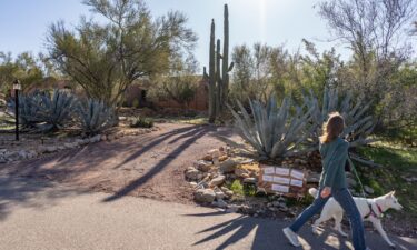 Pima County Sheriff Chris Nanos speaks to the media on February 3 in Tucson