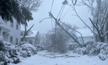 A woman walks past through the snow in Central Park on February 23