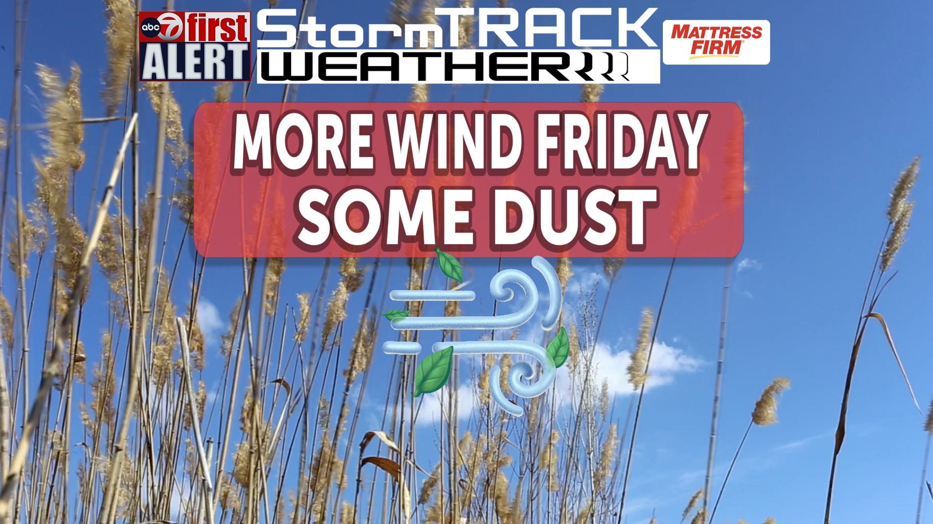 ABC-7 First Alert continues - Another windy day Friday with some ...