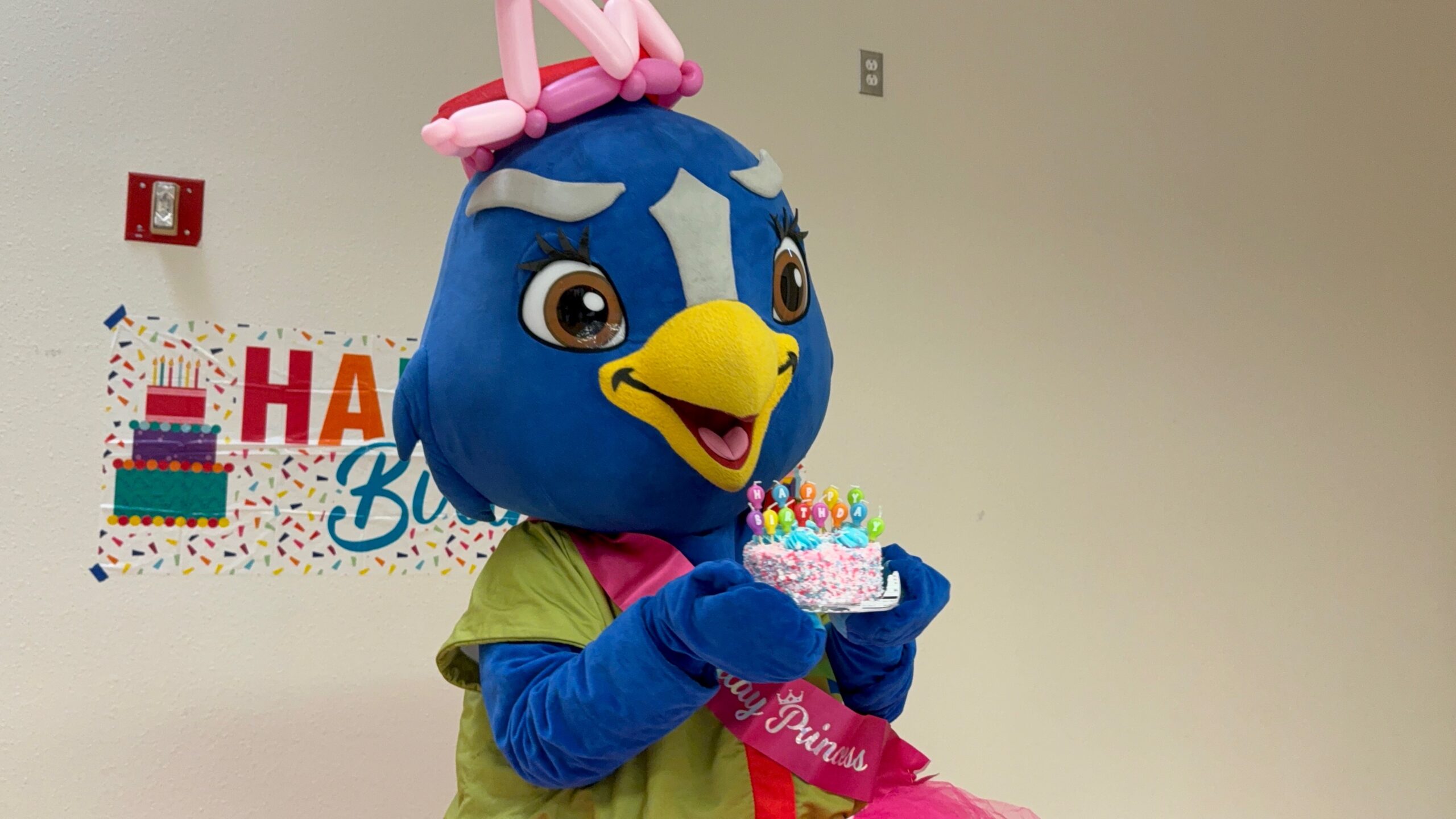 El Paso Public Libraries mascot celebrates birthday - KVIA
