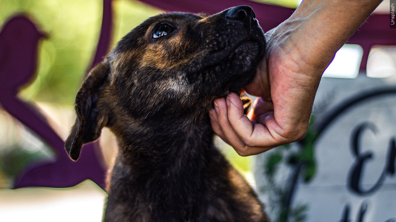 Acquired Through MGN Online on 10/05/2023