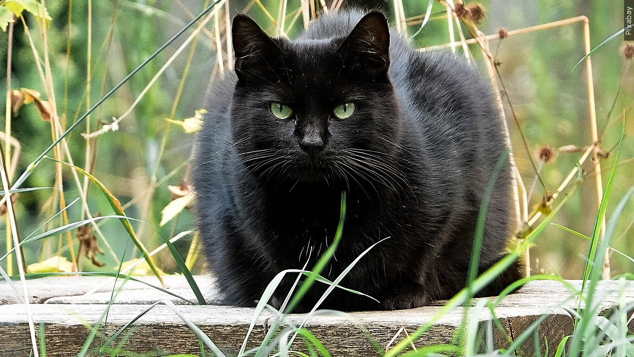 Acquired Through MGN Online on 08/15/2023