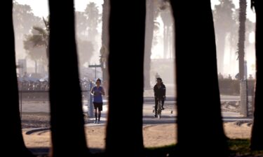 A jogger and cyclist move along a bike path in Santa Monica