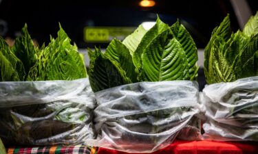 Kratom leaves on sale at a market in Bangkok