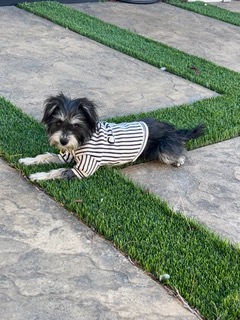 5188893d-92d7-4d69-916d-8e1e34821936