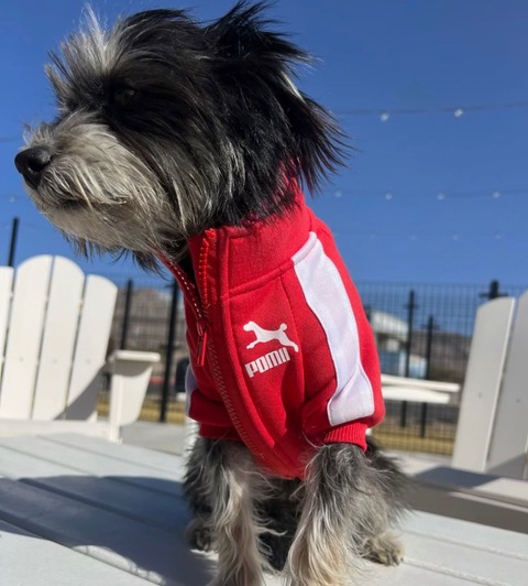 578830e7-120b-4870-bd0f-e3b9f2cc8473