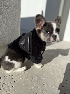 8e5d8797-3b7b-4546-b067-6a163c720c77