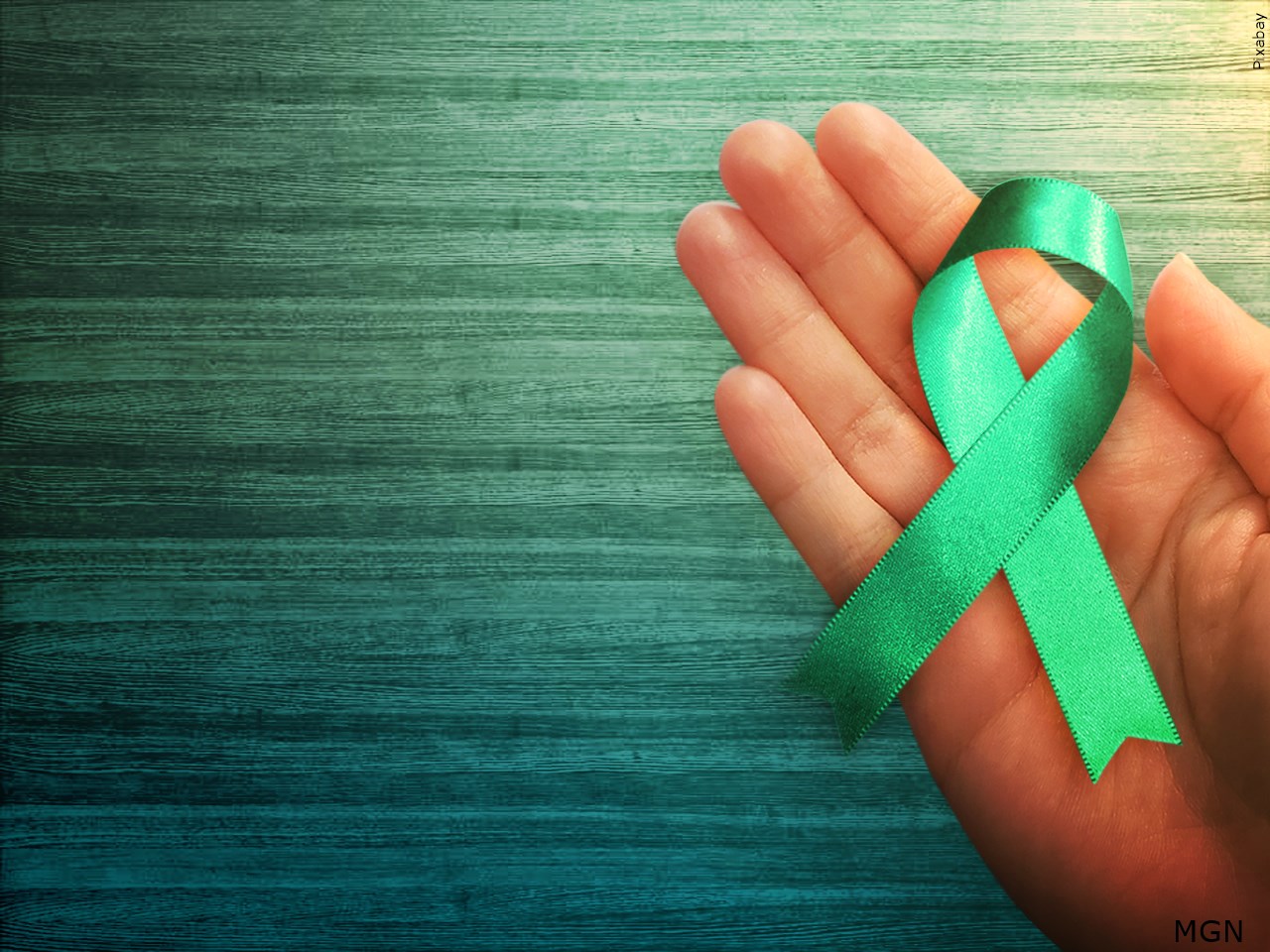 PTSD awareness ribbon