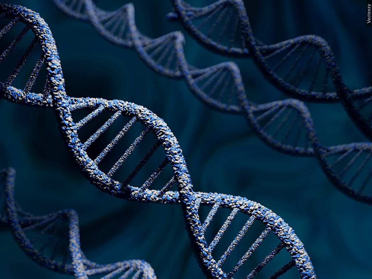 Acquired Through MGN Online on 08/20/2025