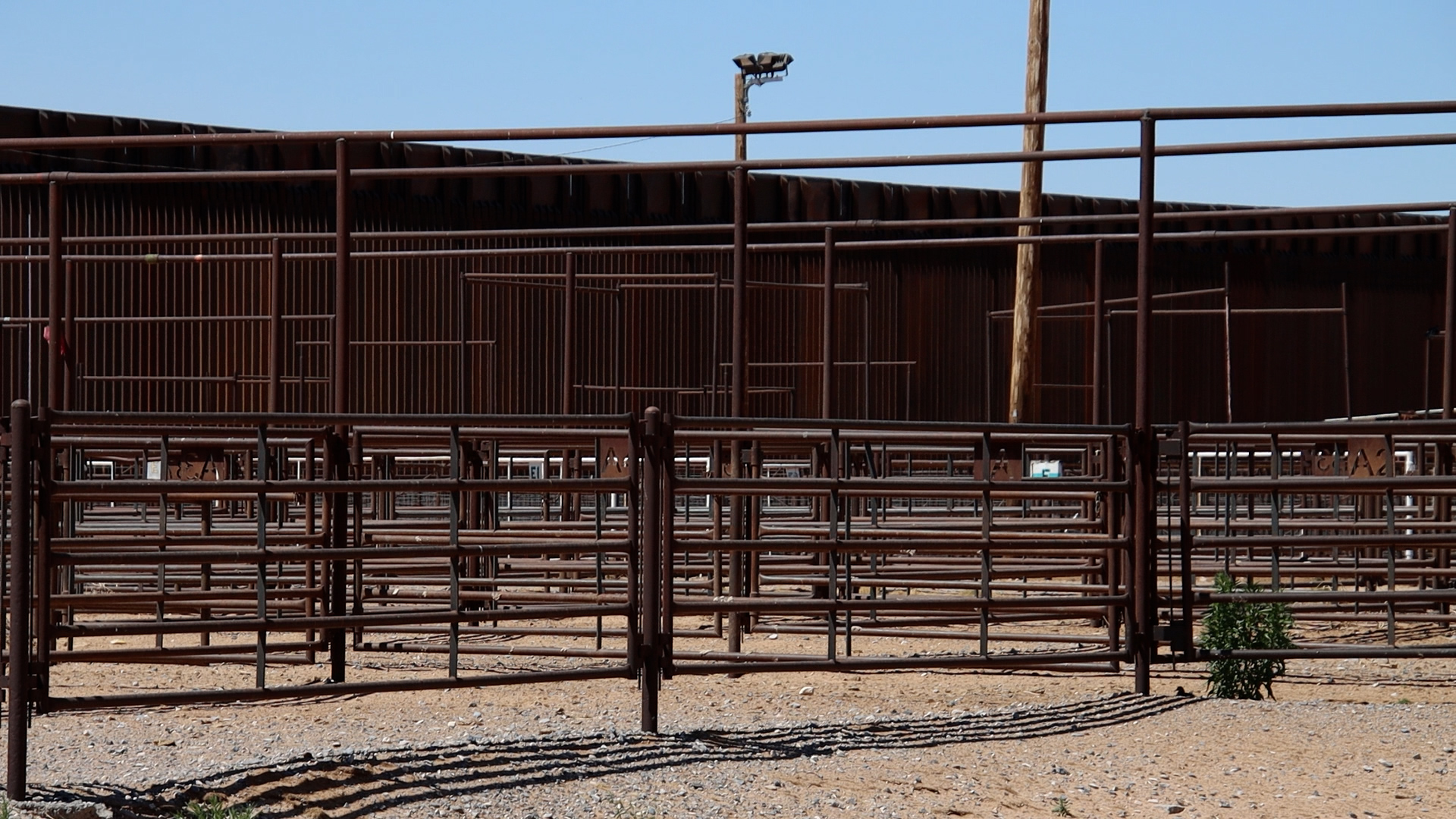 Border cattle crossing shutdown drags on more than a year, Santa Teresa economy and livestock industry struggling to stay afloat