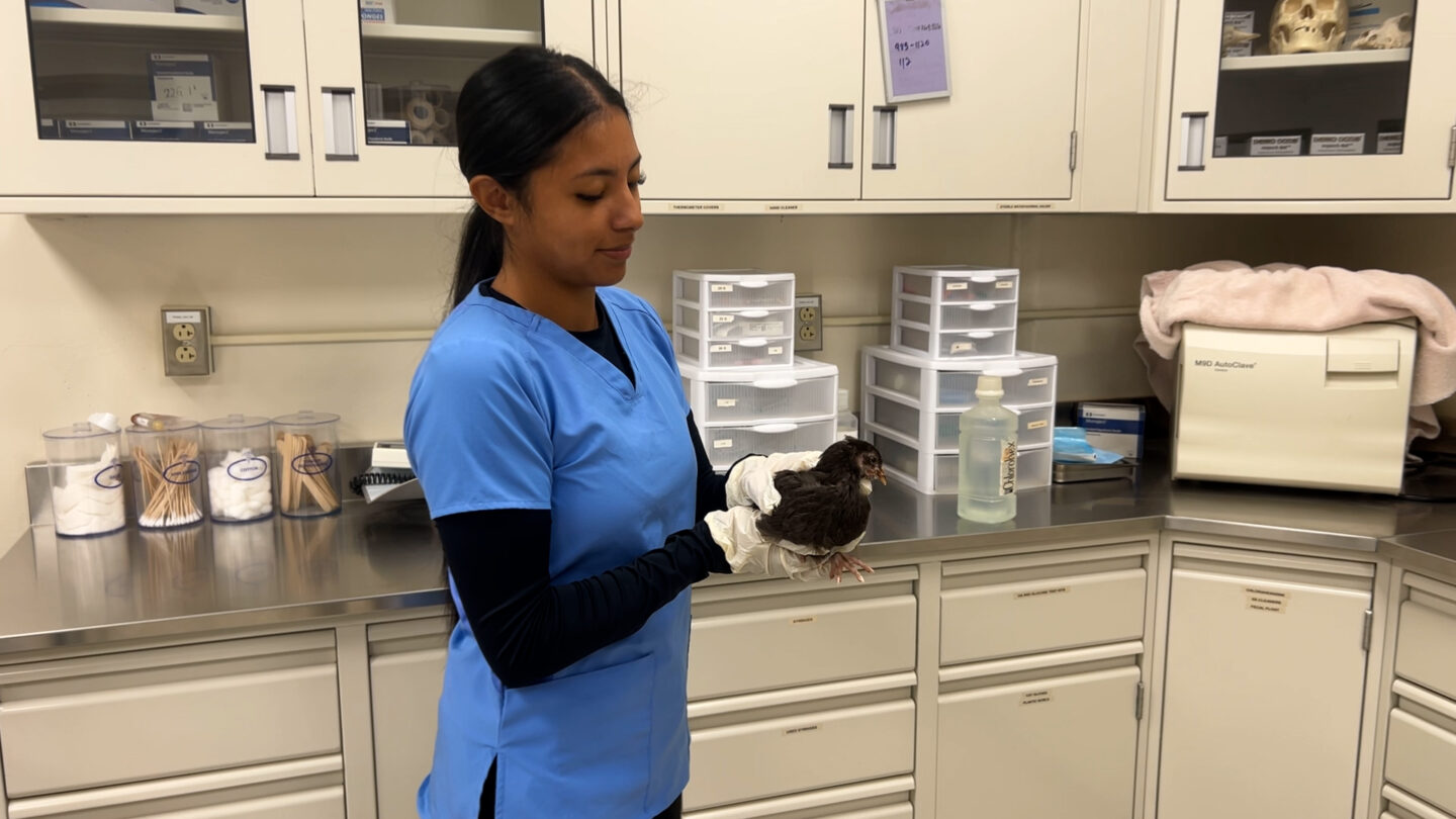 Center for Career and Technology Education student