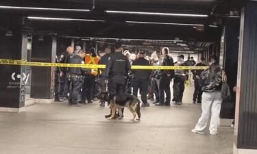 Authorities respond to stabbing attack at New York's Grand Central station on April 11.