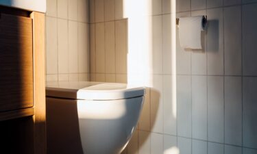 Dr. Trisha Pasricha is also director of the Institute for Gut-Brain Research at Beth Israel Deaconess Medical Center.