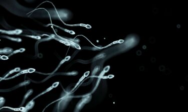 Research has linked higher stress levels with lower sperm count and poorer sperm movement.