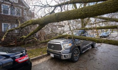 A fallen tree lies on a vehicle South 20th Street just north of West Greenfield Avenue in Milwaukee
