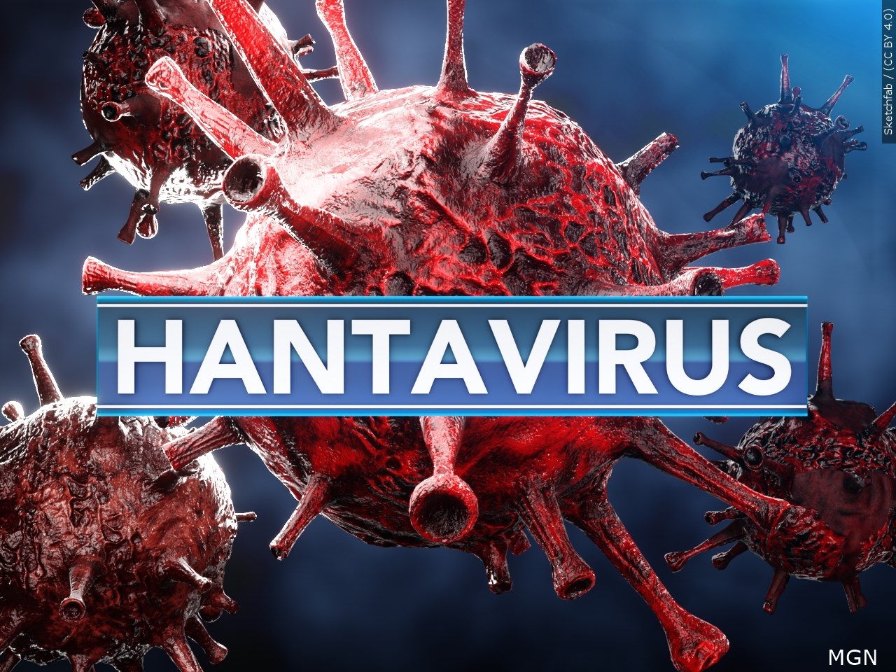 Blender:File:C:UsersleoDesktop__Daily Uploads5_11_26HantavirusHantavirus.blend