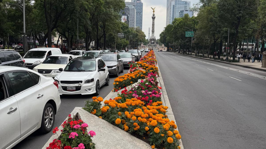 Mexico City’s picturesque Avenida de la Reforma, like much of the city, got a facelift in time to host tens of thousands of visitors in the weeks to come.