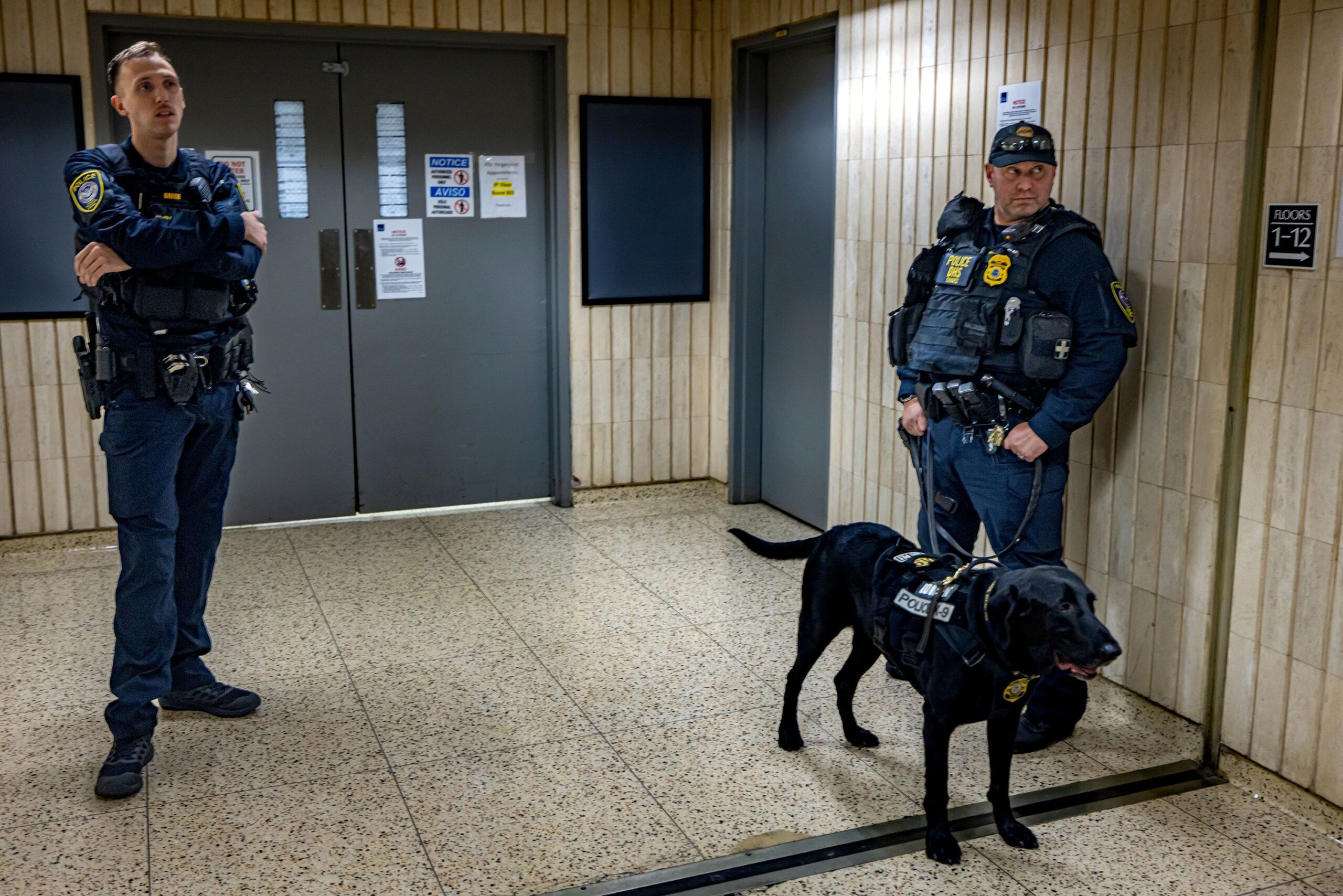 Federal agents patrol the halls of immigration court at the Jacob K. Javitz Federal Building on December 19, in New York City.