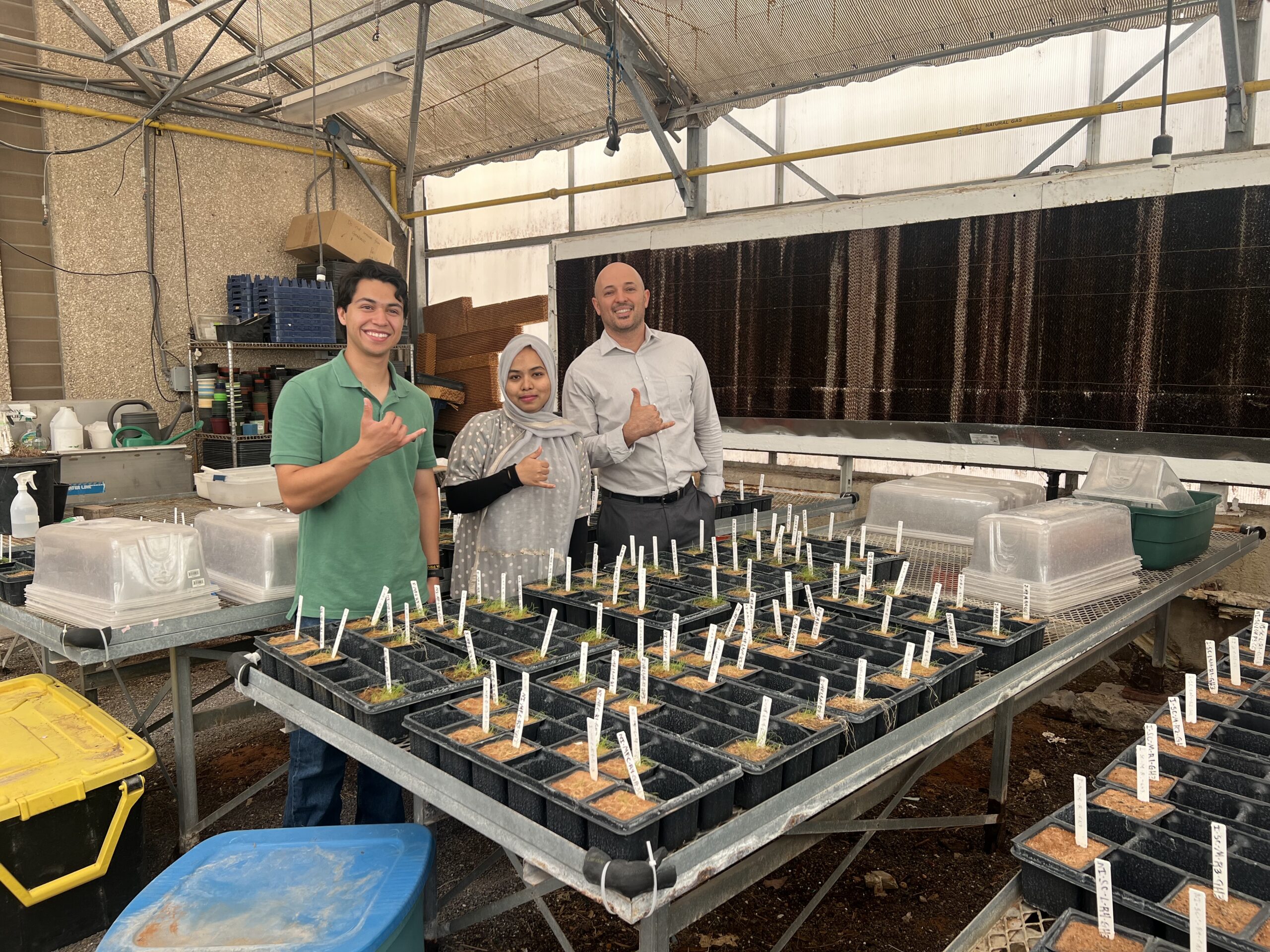 Hamidreza Sharifan, Ph.D. (right), an assistant professor of chemistry at UTEP, served as the corresponding author of a study that found a low-dose leaf spray combining manganese oxide nanoparticles and chitosan could give farmers around the world a practical new tool to keep growing tomatoes on land that salt has rendered increasingly unproductive. The UTEP research team also included doctoral student Nusrat Easmin (center) and Luis Salmeron Covarrubias, a graduate student in environmental engineering (left).