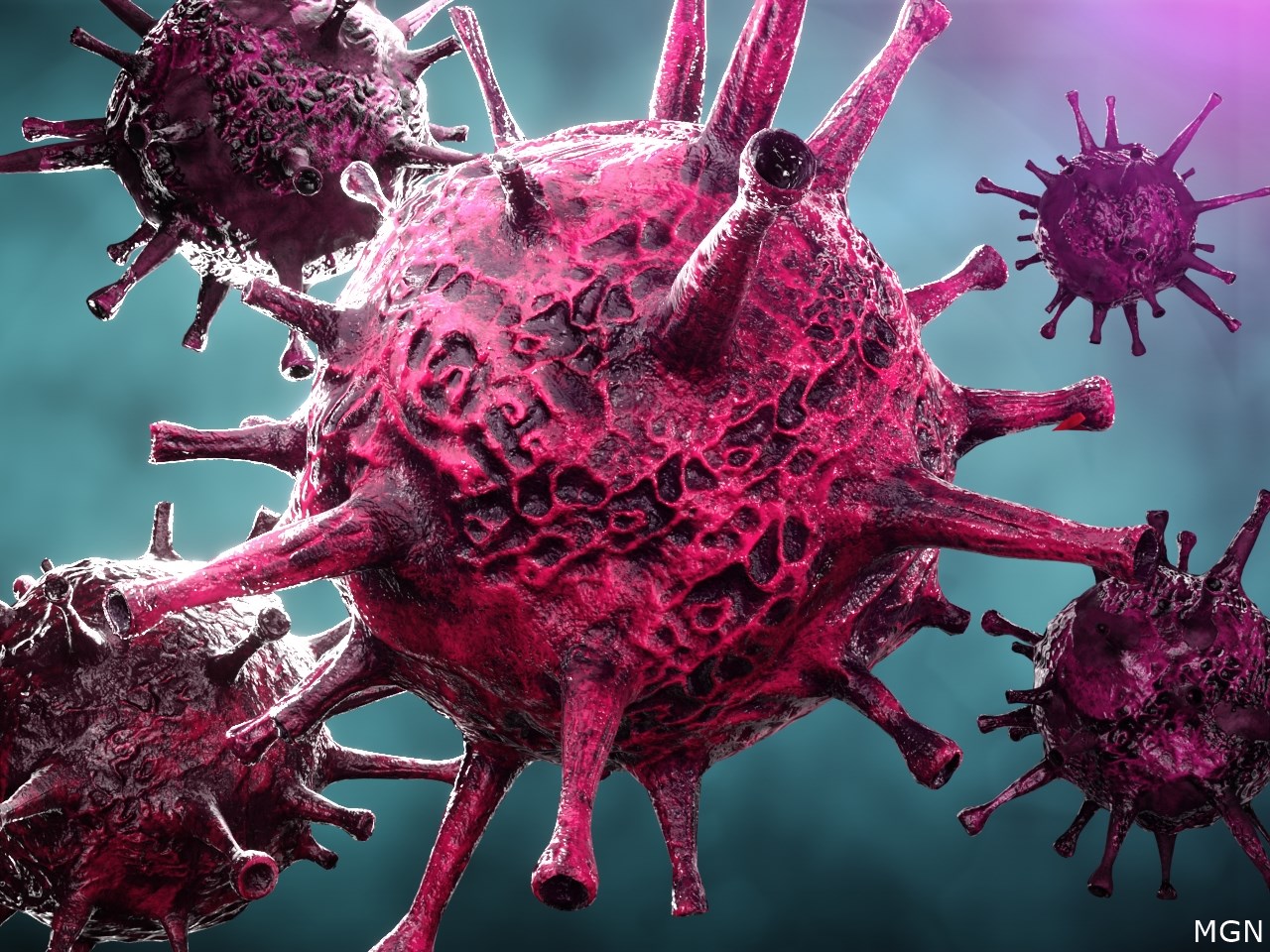 Blender:File:C:UsersleoDesktop__Daily Uploads7_8_26CYCLOSPORIASIS OUTBREAKSCYCLOSPORIASIS OUTBREAKS.blend