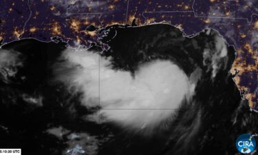 Tropical Storm Bertha is slowly organizing in the northeastern Gulf.