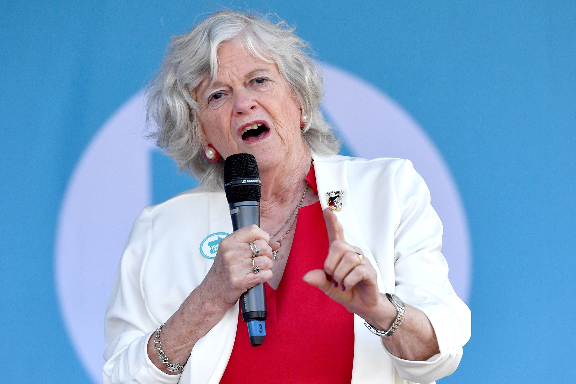 <i>Anthony Devlin/Getty Images via CNN Newsource</i><br/>Ann Widdecombe