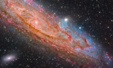This deep-field image of the Andromeda Galaxy (M31) captures its dual nature: a crimson vortex of ionised gas and dust spiraling toward the supermassive black hole at its centre and sapphire "blossoms" – luminous blue stellar nurseries – blooming across its spiral arms.