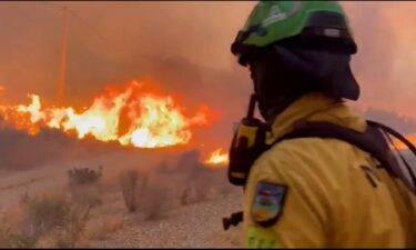 At least 12 people have died as massive wildfires sweep through Andalusia’s Costa de Almería