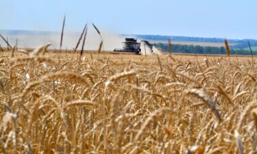The Ukrainian attacks are complicating Russia's wheat exports just as the early harvest season begins in the Rostov region in southern Russia.