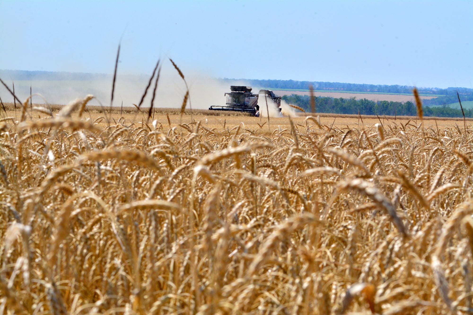 <i>Arkadii Budnitskii/Anadolu/Getty Images via CNN Newsource</i><br/>The Ukrainian attacks are complicating Russia's wheat exports just as the early harvest season begins in the Rostov region in southern Russia.