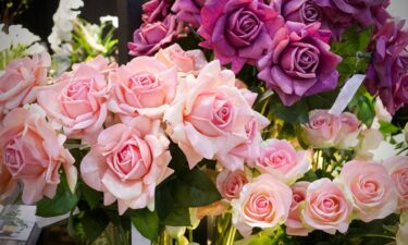 From bouquets to filet mignon: What Instacart orders reveal about the best Mother's Day gifts in Texas