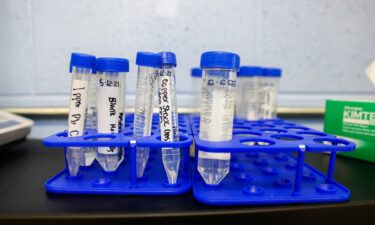 Are we exposed to more heavy metals today?
