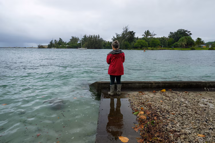 A resident looks at a young green sea turtle as ocean waters started to raise due to the approach of Tropical Storm Lala at Reed's Bay in Hilo, Hawaii on August 14, 2026. A strengthening tropical storm named Lala is set to hit Hawaii's Big Island with hurricane force on Saturday, bringing dangerous winds, rainfall and surf as the state's governor declared a state of emergency.
