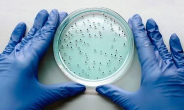 Could &lsquo;cellular fragility&rsquo; be the missing link in chronic disease?