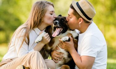 Survey: More than 80% of pet parents consider their pets to be family